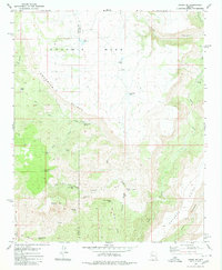Download a high-resolution, GPS-compatible USGS topo map for Negro Ed, AZ (1980 edition)