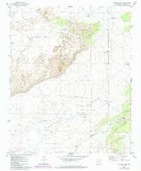 Download a high-resolution, GPS-compatible USGS topo map for Ninemile Seep, AZ (1984 edition)