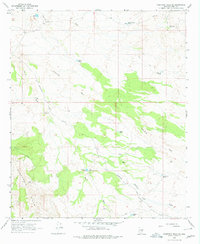 Download a high-resolution, GPS-compatible USGS topo map for Ninetysix Hills NE, AZ (1978 edition)