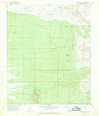 Download a high-resolution, GPS-compatible USGS topo map for Ninetysix Hills NW, AZ (1969 edition)