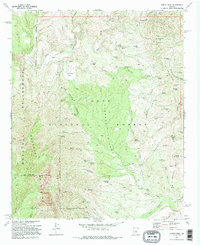 Download a high-resolution, GPS-compatible USGS topo map for North Peak, AZ (1995 edition)