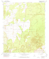 Download a high-resolution, GPS-compatible USGS topo map for OLeary Peak, AZ (1977 edition)