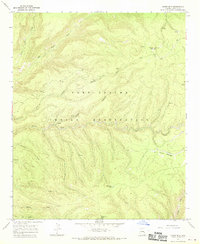 preview thumbnail of historical topo map of Apache County, AZ in 1967