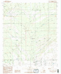Download a high-resolution, GPS-compatible USGS topo map for Oracle Junction, AZ (1989 edition)