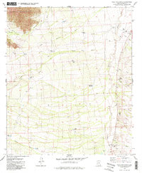 Download a high-resolution, GPS-compatible USGS topo map for Palo Alto Ranch, AZ (1979 edition)