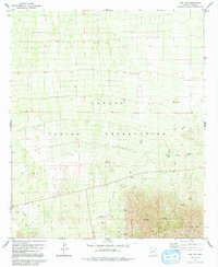 Download a high-resolution, GPS-compatible USGS topo map for Pan Tak, AZ (1991 edition)