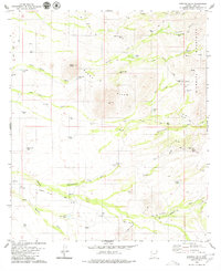 Download a high-resolution, GPS-compatible USGS topo map for Penitas Hills, AZ (1980 edition)