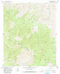 Download a high-resolution, GPS-compatible USGS topo map for Pinal Peak, AZ (1991 edition)