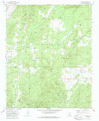 Download a high-resolution, GPS-compatible USGS topo map for Pinedale, AZ (1985 edition)