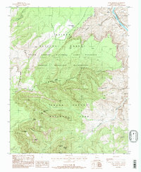 Download a high-resolution, GPS-compatible USGS topo map for Point Imperial, AZ (1988 edition)
