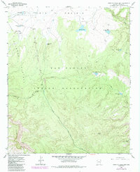 Download a high-resolution, GPS-compatible USGS topo map for Point of Pines East, AZ (1985 edition)