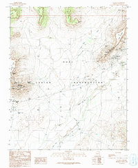 Download a high-resolution, GPS-compatible USGS topo map for Polacca, AZ (1991 edition)