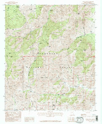Download a high-resolution, GPS-compatible USGS topo map for Portal Peak, AZ (1987 edition)