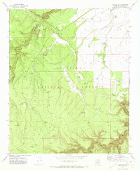 Download a high-resolution, GPS-compatible USGS topo map for Quayle Hill, AZ (1973 edition)