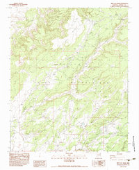 Download a high-resolution, GPS-compatible USGS topo map for Red Clay Wash, AZ (1983 edition)