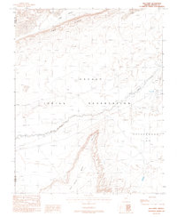 Download a high-resolution, GPS-compatible USGS topo map for Red Point, AZ (1988 edition)