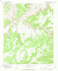 Download a high-resolution, GPS-compatible USGS topo map for Red Willow Spring, AZ (1973 edition)