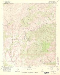 Download a high-resolution, GPS-compatible USGS topo map for Reno Pass, AZ (1968 edition)