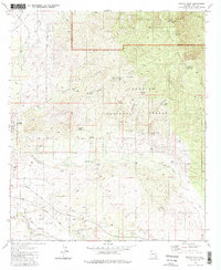 Download a high-resolution, GPS-compatible USGS topo map for Rincon Peak, AZ (1986 edition)