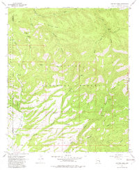 Download a high-resolution, GPS-compatible USGS topo map for Robinson Mesa, AZ (1982 edition)