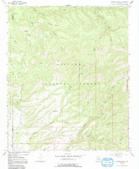 Download a high-resolution, GPS-compatible USGS topo map for Robinson Mesa, AZ (1991 edition)