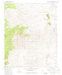 Download a high-resolution, GPS-compatible USGS topo map for Rose Well Camp West, AZ (1980 edition)