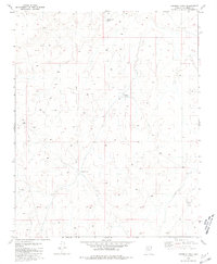 Download a high-resolution, GPS-compatible USGS topo map for Rosebud Tank, AZ (1981 edition)