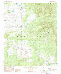 preview thumbnail of historical topo map of Apache County, AZ in 1991