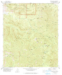 preview thumbnail of historical topo map of Cochise County, AZ in 1978