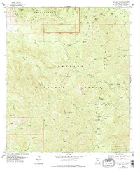 Download a high-resolution, GPS-compatible USGS topo map for Rustler Park, AZ (1978 edition)