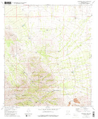 Download a high-resolution, GPS-compatible USGS topo map for Samaniego Peak, AZ (1981 edition)