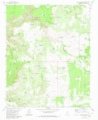 Download a high-resolution, GPS-compatible USGS topo map for Scratch Canyon, AZ (1980 edition)