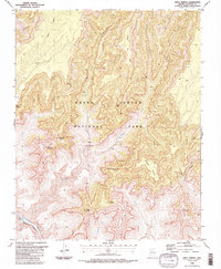 Download a high-resolution, GPS-compatible USGS topo map for Shiva Temple, AZ (1988 edition)