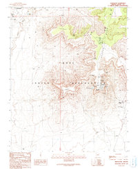 Download a high-resolution, GPS-compatible USGS topo map for Shungopavi, AZ (1991 edition)