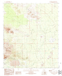 Download a high-resolution, GPS-compatible USGS topo map for Silver Bell East, AZ (1989 edition)