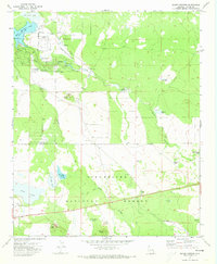 Download a high-resolution, GPS-compatible USGS topo map for Silver Springs, AZ (1973 edition)