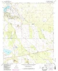 Download a high-resolution, GPS-compatible USGS topo map for Silver Springs, AZ (1985 edition)