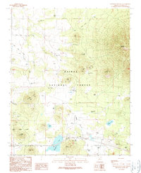 Download a high-resolution, GPS-compatible USGS topo map for Sitgreaves Mountain, AZ (1990 edition)