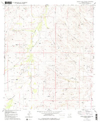 Download a high-resolution, GPS-compatible USGS topo map for Spring Water Canyon, AZ (1981 edition)