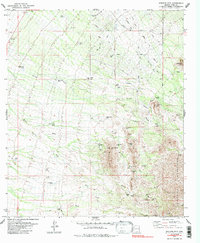 Download a high-resolution, GPS-compatible USGS topo map for Stevens Mtn, AZ (1985 edition)