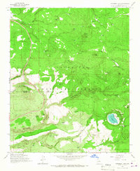 Download a high-resolution, GPS-compatible USGS topo map for Stoneman Lake, AZ (1967 edition)