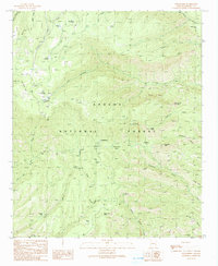 preview thumbnail of historical topo map of Greenlee County, AZ in 1991