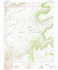 Download a high-resolution, GPS-compatible USGS topo map for Sun Altar, AZ (1991 edition)