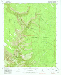 Download a high-resolution, GPS-compatible USGS topo map for Sycamore Point, AZ (1982 edition)