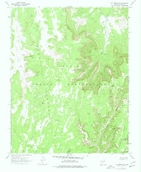 Download a high-resolution, GPS-compatible USGS topo map for Tall Mountain, AZ (1977 edition)