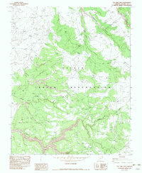 Download a high-resolution, GPS-compatible USGS topo map for Tall Tree Mesa, AZ (1982 edition)