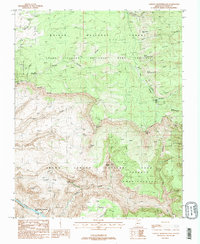 Download a high-resolution, GPS-compatible USGS topo map for Tapeats Amphitheater, AZ (1988 edition)