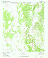 Download a high-resolution, GPS-compatible USGS topo map for The Rincon, AZ (1973 edition)