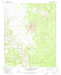 Download a high-resolution, GPS-compatible USGS topo map for Trinity Mtn, AZ (1981 edition)
