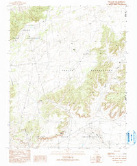Download a high-resolution, GPS-compatible USGS topo map for Tsin Naan Tee, AZ (1991 edition)